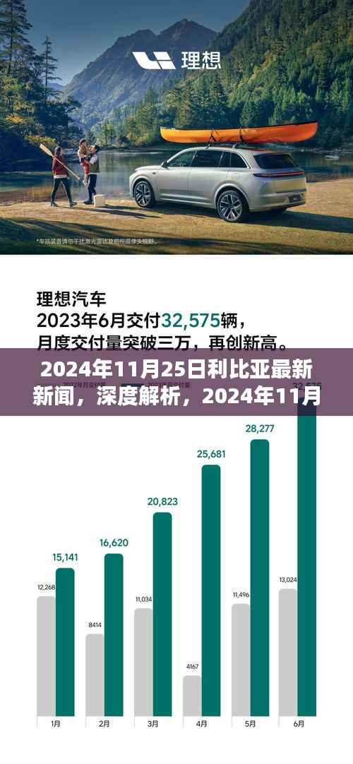 深度解析,2024年11月25日利比亚最新新闻报道