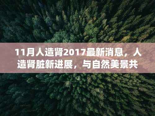 人造肾脏最新进展,与自然美景共舞的探索之旅,探寻内心宁静的奇迹