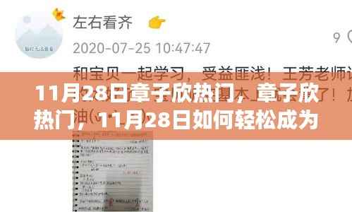 11月28日章子欣热门话题揭秘,轻松成为话题焦点,初学者与进阶用户指南