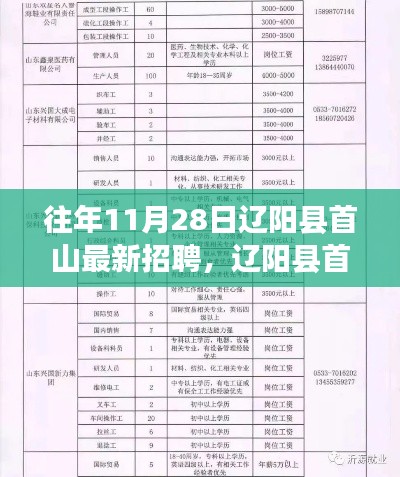 辽阳县首山最新招聘热点解析,历年11月28日招聘回顾与热点聚焦