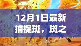 最新捕捉斑事件揭秘，斑之影的深度解析