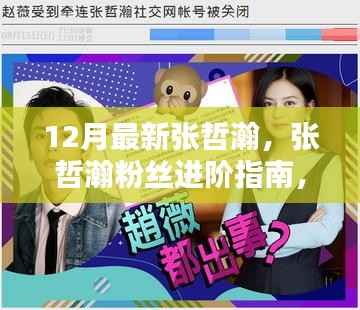 12月最新版张哲瀚粉丝进阶手册,如何成为粉丝精英,初学者与资深粉丝通用指南