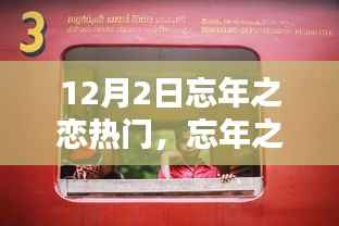 忘年之恋产品深度测评与介绍，12月2日热门之选