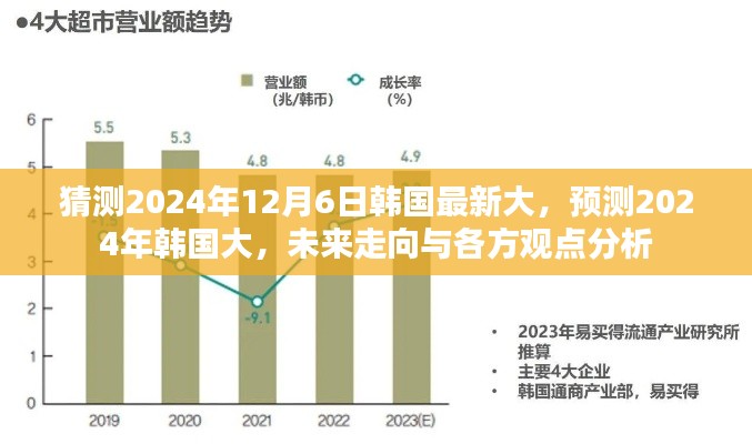 2024年韩国大选走向预测，最新分析与各方观点