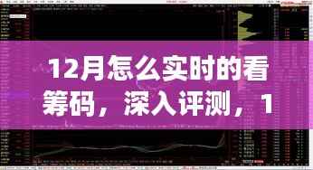 12月实时筹码监控产品深度评测,特性、体验、竞争分析与目标用户群体剖析