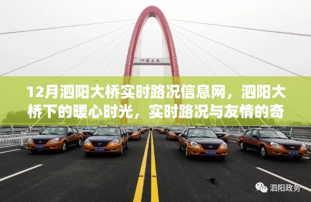 泗阳大桥下的暖心时光,实时路况与友情的交织之旅