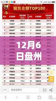 12月6日盘州市各银行实时金价大全，查询指南与必备技能
