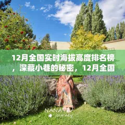 揭秘深藏小巷的特色小店，12月全国实时海拔高度排名榜探秘