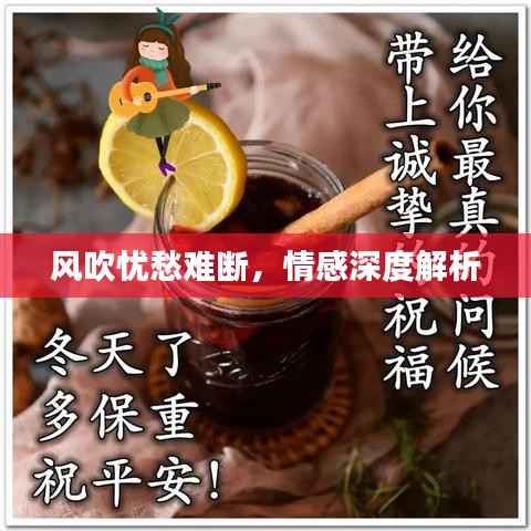 风吹忧愁难断，情感深度解析