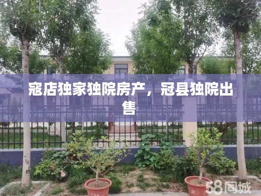 寇店独家独院房产，冠县独院出售 