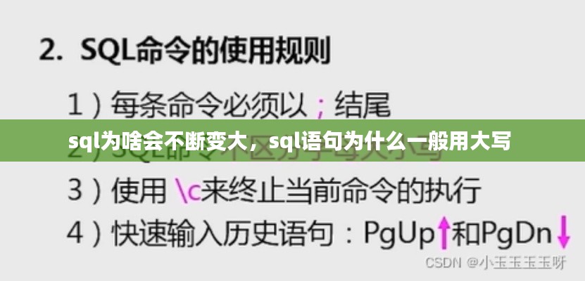 sql为啥会不断变大,sql语句为什么一般用大写