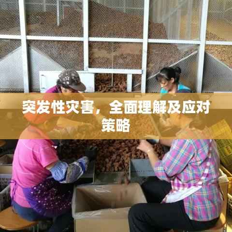 商品分类 第177页