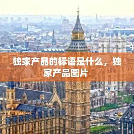 独家产品的标语是什么,独家产品图片