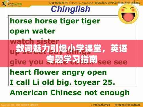 数词魅力引爆小学课堂,英语专题学习指南