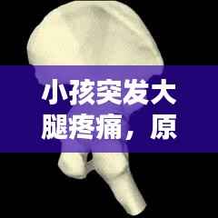 小孩突发大腿疼痛,原因解析、应急处理与预防策略