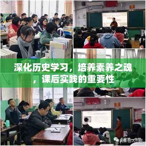 深化历史学习,培养素养之魂,课后实践的重要性