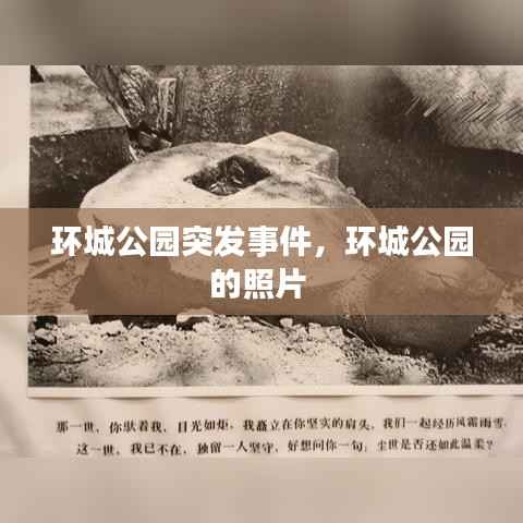 环城公园突发事件，环城公园的照片 