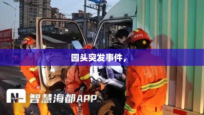 园头突发事件， 