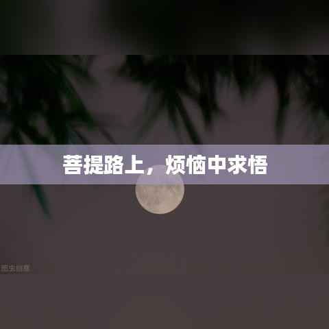 菩提路上,烦恼中求悟