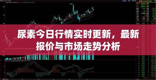 尿素今日行情实时更新,最新报价与市场走势分析