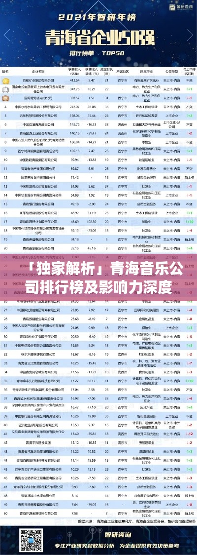 「独家解析」青海音乐公司排行榜及影响力深度探讨