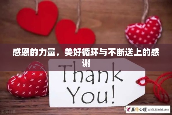 感恩的力量,美好循环与不断送上的感谢