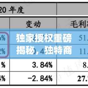 独家授权重磅揭秘，独特商业模式成交易热点！