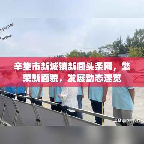 辛集市新城镇新闻头条网，繁荣新面貌，发展动态速览