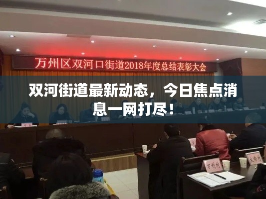 双河街道最新动态，今日焦点消息一网打尽！