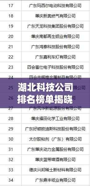 湖北科技公司排名榜单揭晓,哪家公司荣登榜首?