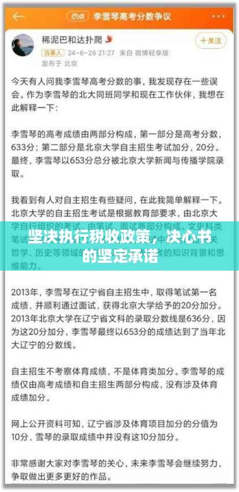 坚决执行税收政策,决心书的坚定承诺