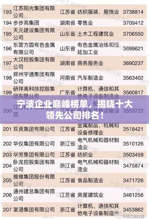 宁波企业巅峰榜单,揭晓十大领先公司排名!