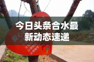 今日头条合水最新动态速递