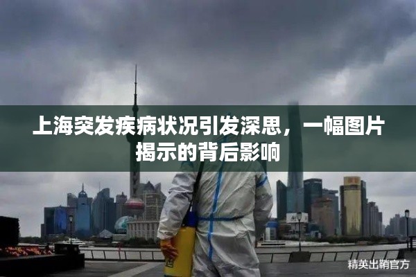 上海突发疾病状况引发深思,一幅图片揭示的背后影响