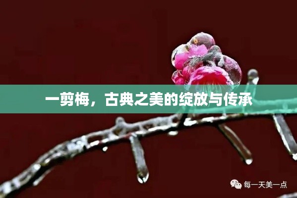 一剪梅,古典之美的绽放与传承