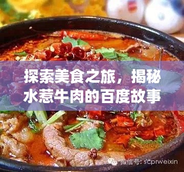 探索美食之旅,揭秘水惹牛肉的百度故事