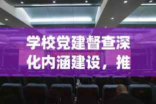 学校党建督查深化内涵建设，推动高质量发展助力教育腾飞！