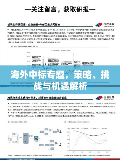 海外中标专题，策略、挑战与机遇解析