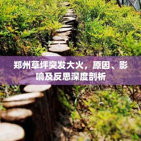 郑州草坪突发大火,原因、影响及反思深度剖析