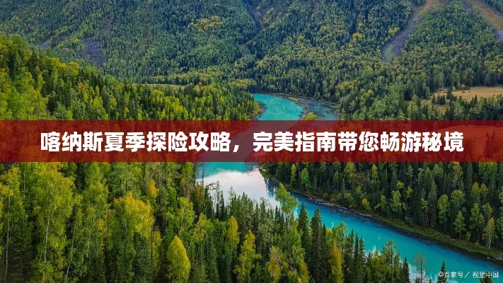 喀纳斯夏季探险攻略，完美指南带您畅游秘境