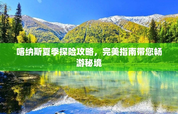 喀纳斯夏季探险攻略,完美指南带您畅游秘境