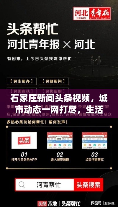 石家庄新闻头条视频,城市动态一网打尽,生活观察深度剖析