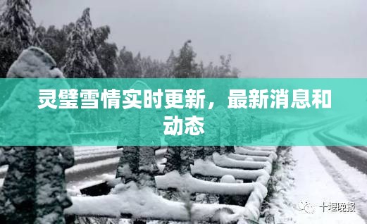 灵璧雪情实时更新,最新消息和动态