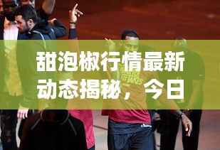 guixianjianbi 第5页