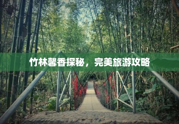 竹林馨香探秘,完美旅游攻略